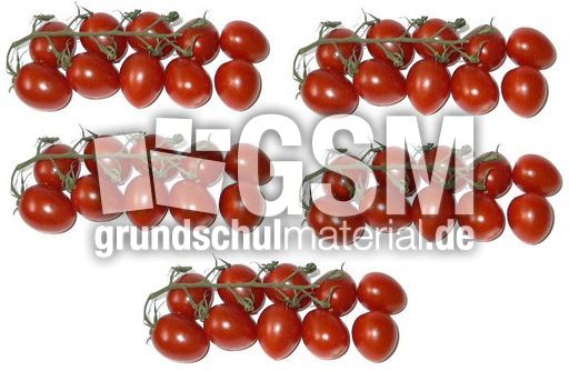 Tomaten5x10.jpg